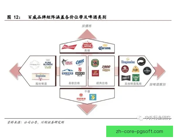 国家队伤停问题对竞技表现影响分析及系统化解决方案研究路径与对策